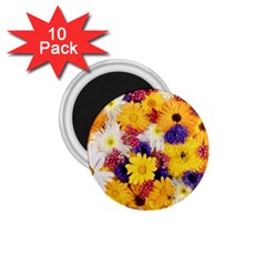 Colorful Flowers Pattern 1.75  Magnets (10 pack) 