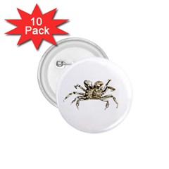 Dark Crab Photo 1 75  Buttons (10 Pack) by dflcprints