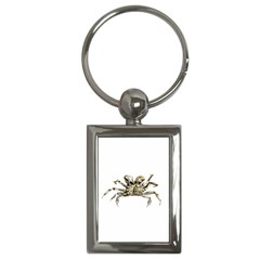Dark Crab Photo Key Chains (rectangle)  by dflcprints