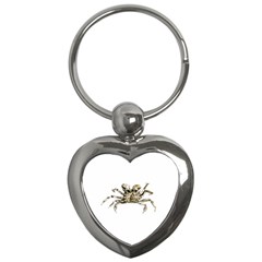 Dark Crab Photo Key Chains (heart)  by dflcprints