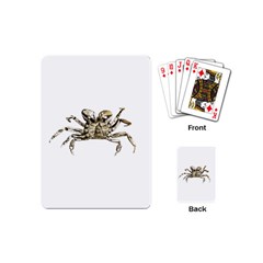 Dark Crab Photo Playing Cards (mini)  by dflcprints