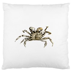 Dark Crab Photo Large Flano Cushion Case (two Sides) by dflcprints