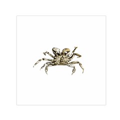 Dark Crab Photo Small Satin Scarf (square)  by dflcprints