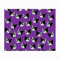 Cat Pattern Small Glasses Cloth