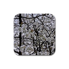 Blossom Rubber Square Coaster (4 Pack)  by DeneWestUK