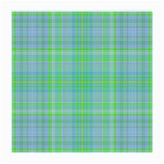 Plaid design Medium Glasses Cloth