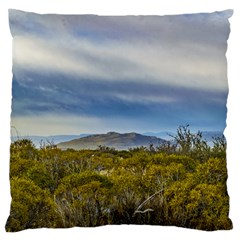 Patagonian Lanscape Scene, Santa Cruz, Argentina Large Cushion Case (two Sides) by dflcprints