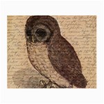 Vintage owl Small Glasses Cloth (2-Side) Back