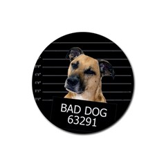 Bed Dog Rubber Round Coaster (4 Pack)  by Valentinaart