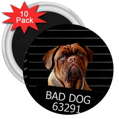 Bed Dog 3  Magnets (10 Pack)  by Valentinaart