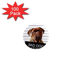 Bad Dog 1  Mini Magnets (100 Pack) 