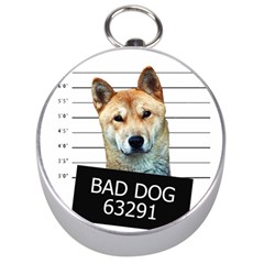 Bad Dog Silver Compasses by Valentinaart