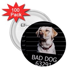 Bad dog 2.25  Buttons (100 pack) 