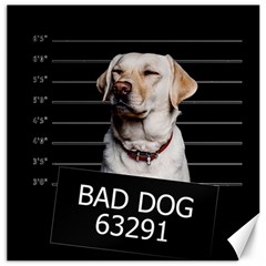 Bad dog Canvas 16  x 16  