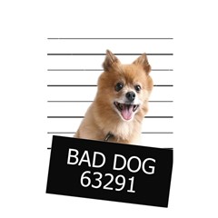Bad Dog Shower Curtain 48  X 72  (small)  by Valentinaart