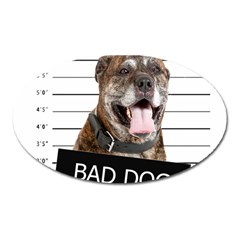 Bad Dog Oval Magnet by Valentinaart