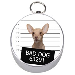 Bad Dog Silver Compasses by Valentinaart