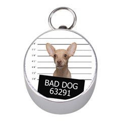 Bad Dog Mini Silver Compasses by Valentinaart