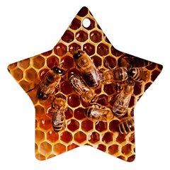 Honey Bees Ornament (Star)