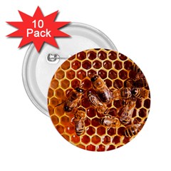 Honey Bees 2.25  Buttons (10 pack) 