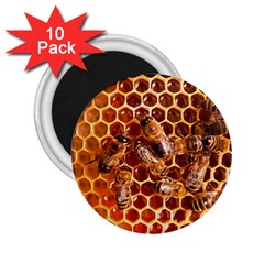 Honey Bees 2.25  Magnets (10 pack) 