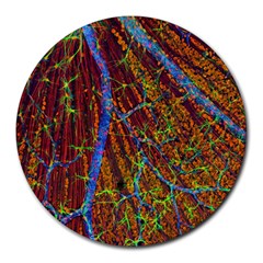 Neurobiology Round Mousepads