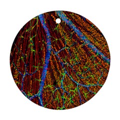 Neurobiology Ornament (Round)