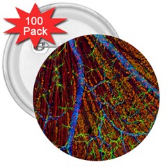 Neurobiology 3  Buttons (100 pack) 