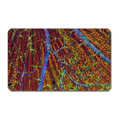 Neurobiology Magnet (Rectangular)