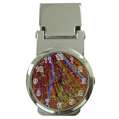 Neurobiology Money Clip Watches