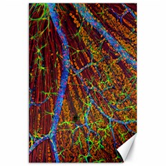 Neurobiology Canvas 20  x 30  