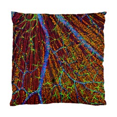 Neurobiology Standard Cushion Case (One Side)