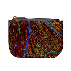 Neurobiology Mini Coin Purses