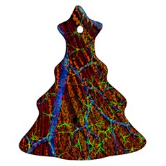 Neurobiology Christmas Tree Ornament (Two Sides)