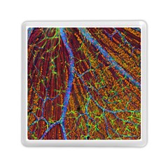 Neurobiology Memory Card Reader (Square) 