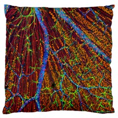 Neurobiology Standard Flano Cushion Case (Two Sides)