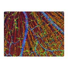 Neurobiology Double Sided Flano Blanket (Mini) 