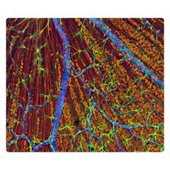 Neurobiology Double Sided Flano Blanket (Small) 