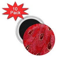 Red Peacock Floral Embroidered Long Qipao Traditional Chinese Cheongsam Mandarin 1.75  Magnets (10 pack) 