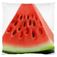 Piece Of Watermelon Standard Flano Cushion Case (One Side)