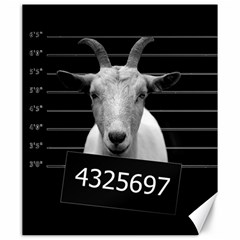 Criminal Goat  Canvas 20  X 24   by Valentinaart