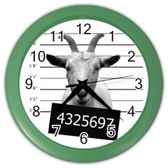 Criminal Goat  Color Wall Clocks