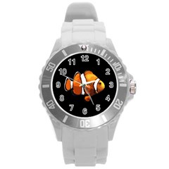 Clown Fish Round Plastic Sport Watch (l) by Valentinaart