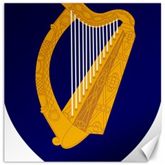 Coat Of Arms Of Ireland Canvas 12  X 12   by abbeyz71