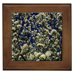 Floral Skies Framed Tiles by dawnsiegler