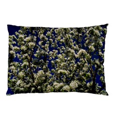 Floral Skies Pillow Case