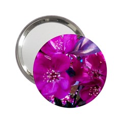 Pretty In Fuchsia 2 25  Handbag Mirrors by dawnsiegler