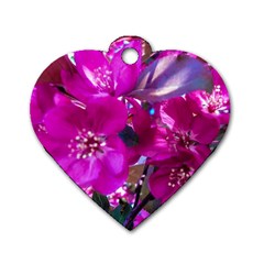 Pretty In Fuchsia Dog Tag Heart (one Side) by dawnsiegler