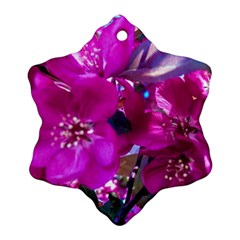 Pretty In Fuchsia Ornament (snowflake)