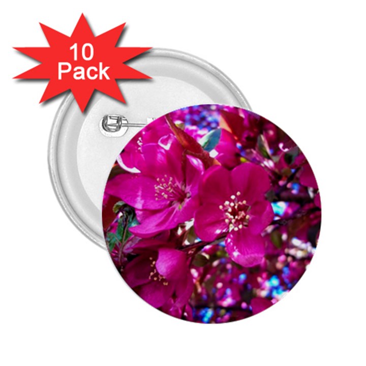 Pretty In Fuchsia 2 2.25  Buttons (10 pack) 